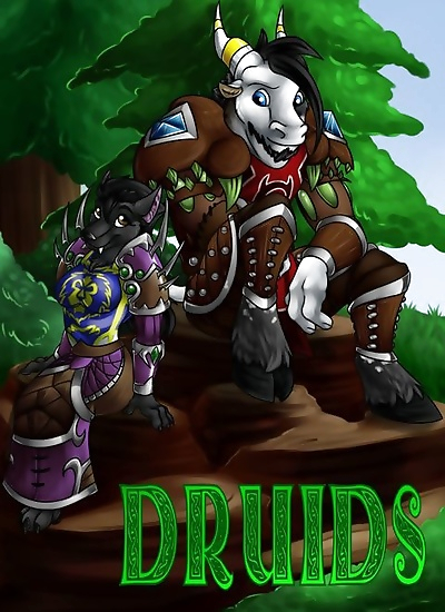 druids-34885